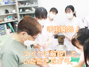 ☆去勢手術実習☆
